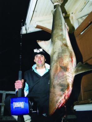 The author with a bronze whaler shark he caught from Point Lonsdale Pier.
